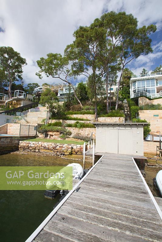 View from timber wharf towards steep terraced garden of harbourside property featuring Sydney Red Gum trees, Angophora costata