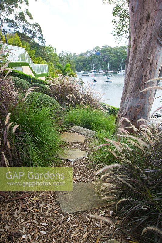 Path with sandstone pavers leading down to view of water. Planting includes Pennisetum setaceum rubrum Purple Fountain Grass and Lomandra longifolia 'Tanika'