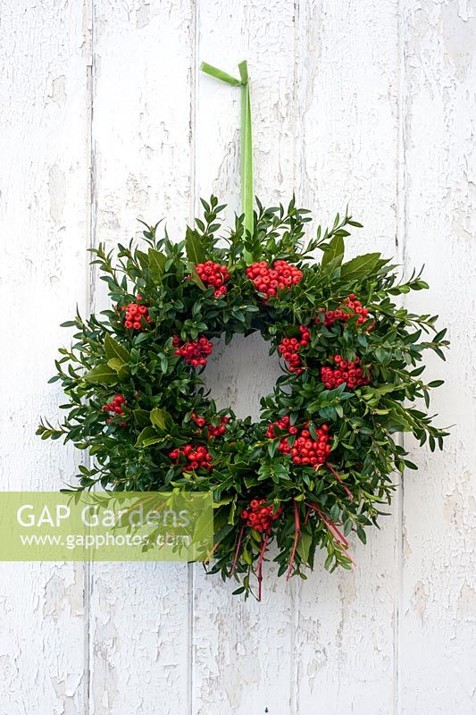 Christmas wreath with buxus, pyracantha berries and cornus stems