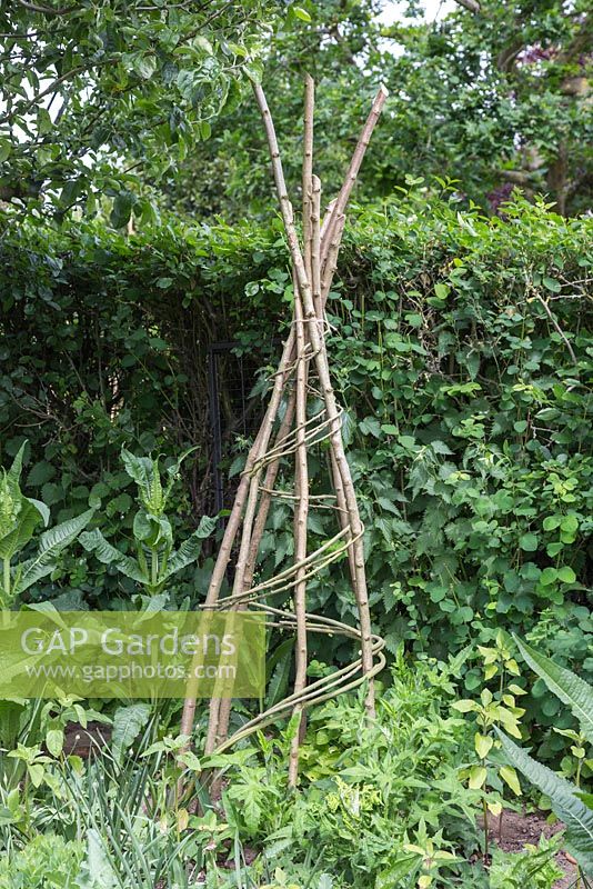 A Teepee made with Hazel and Willow sticks