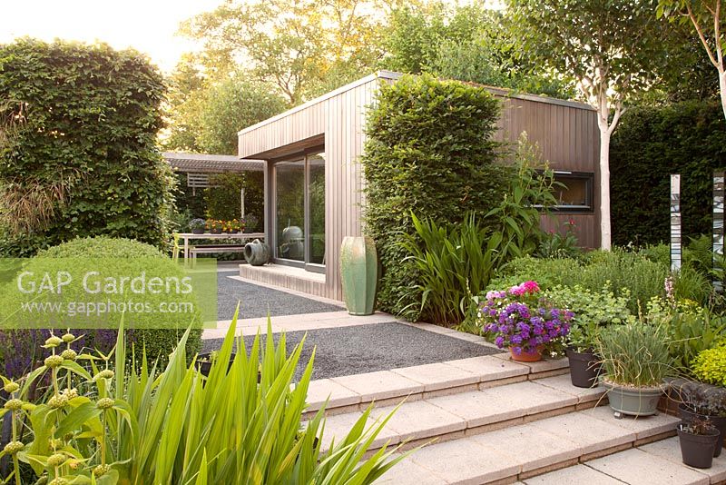 Contemporary summerhouse clad in red cedar by Ecospace Architecture with sedum green roof, decorative ornaments and containers and Beech columns, Birch trees, clipped Buxus, Salvia and Phlomis