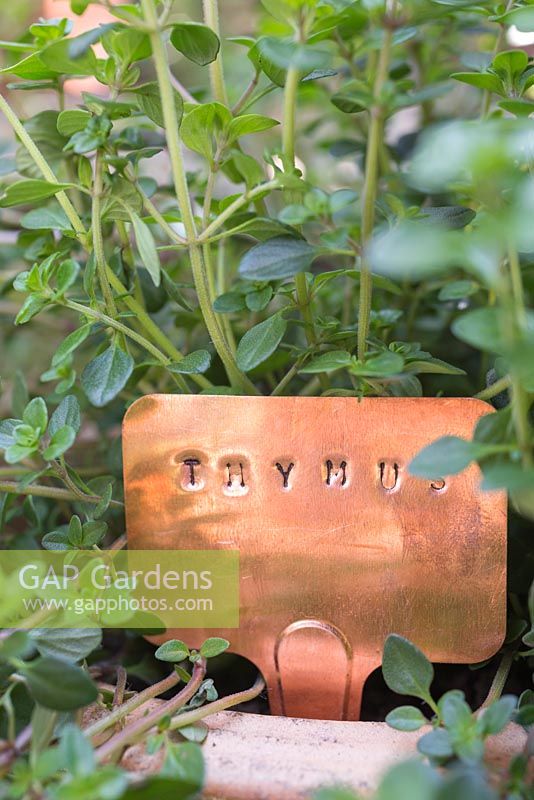 A copper label for Thyme, created using a steel letter punch