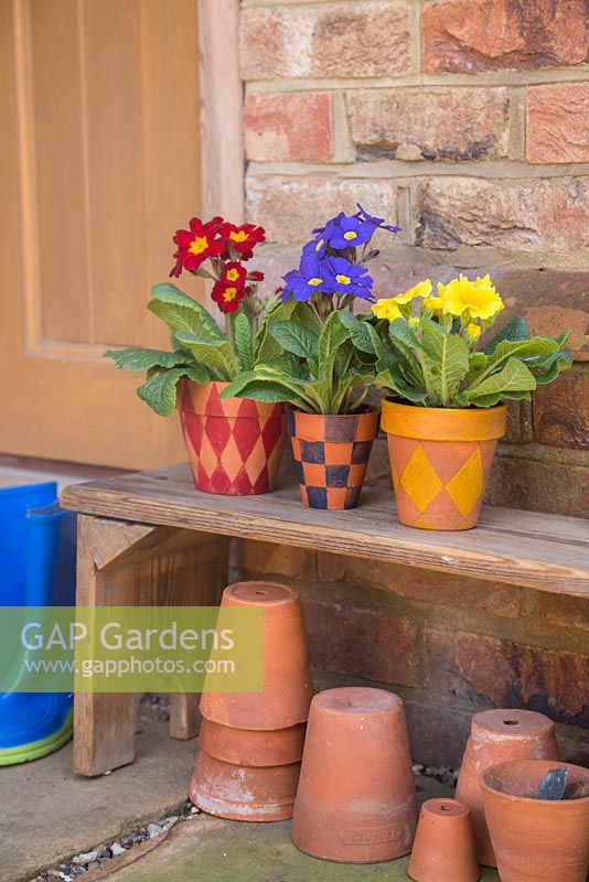 Terracotta pots with various Tartan patterns, planted with Primula elatior Crescendo series