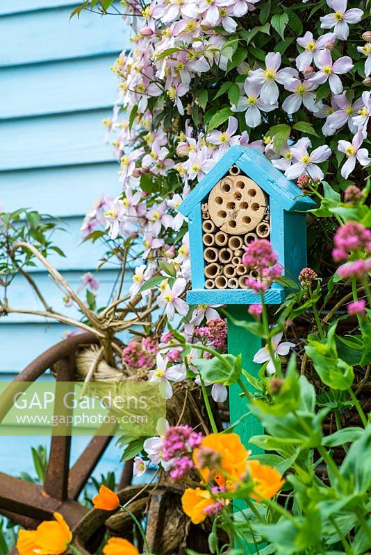 Wildlife gardening - early summer garden with home made bug box placed on side of garden shed.