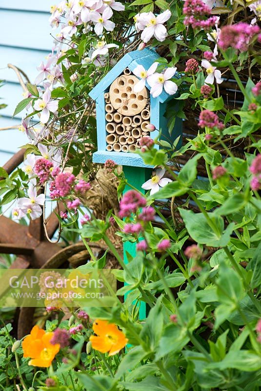 Wildlife gardening - early summer garden with pole mounted bug box placed in nectar rich area of garden.