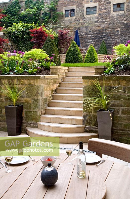 Contemporary urban garden featuring basement seating area, steps to upper terrace and lawn, box pyramids and tulips