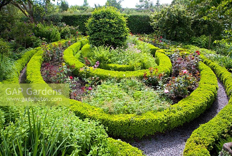 Broughton House, Kirkcudbright, Scotland, UK. Beds of roses and ferns etc within box hedging layed out in ever-decreasing circles