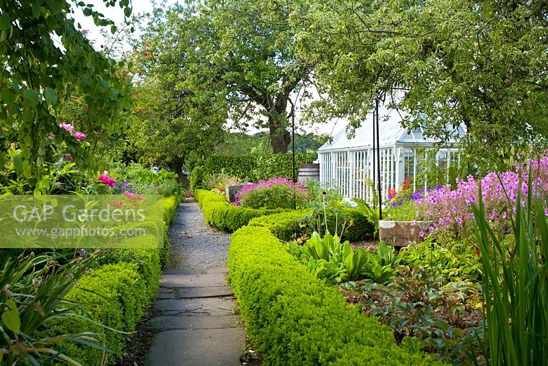 Broughton House, Kirkcudbright, Scotland, UK. Path flanked by box hedge borders leading towards greenhouse, herbaceous geraniums, peonies, roses, primula etc