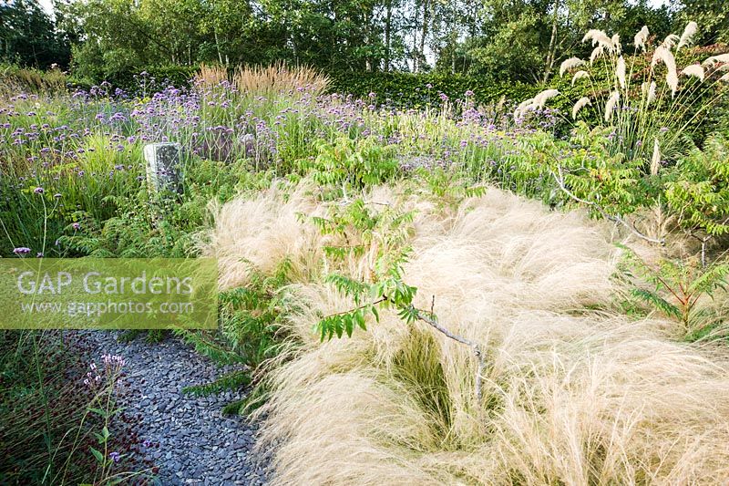 The Barn Garden, a mix of grasses and herbaceous perennials including pale Stipa tenuissima, Rhus typhina 'Dissecta', sanguisorba and purple Verbena bonariensis. The Bay Garden, Camolin, Co Wexford, Ireland