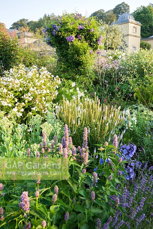Summer borders in the Millennium Garden designed by Xa Tollemache are edged with Lavandula intermedia 'Grosso' and feature white phlox, agastache, sedums, Verbena bonariensis and clematis supported on obelisks. Castle Hill, Barnstaple, Devon, UK