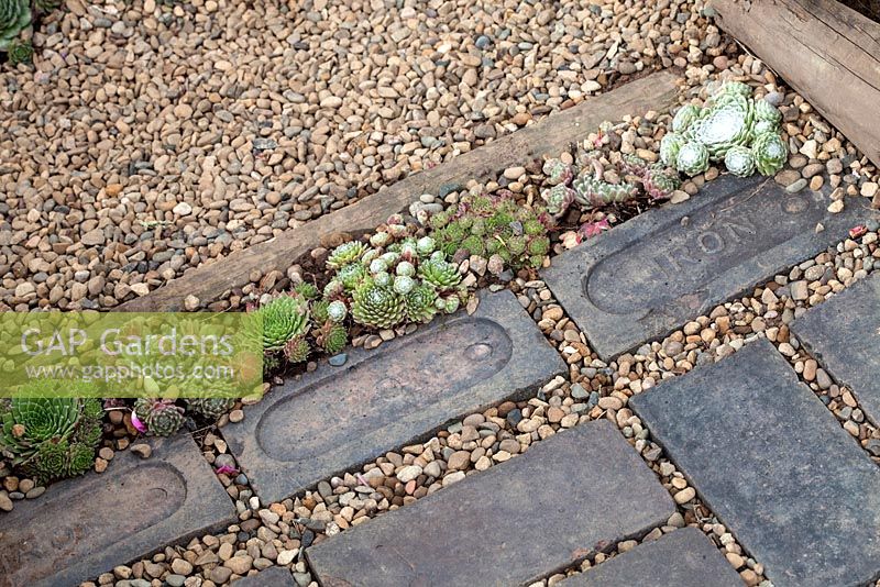 Brick and gravel path inset with sempervivums in 'Rosy Hues' at RHS Tatton Flower Show 2015