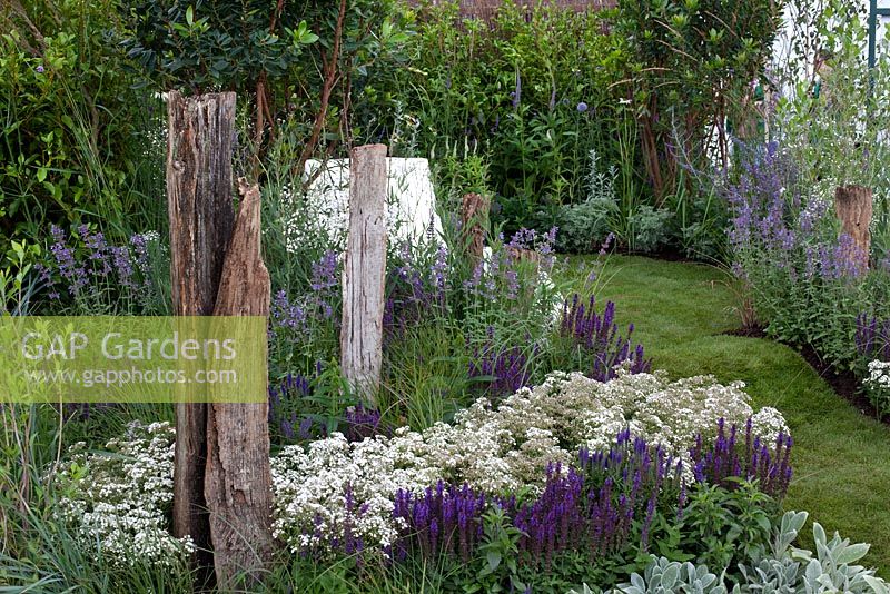 salt tolerant plants representing the illusions of waves, and weatherworn driftwood  in 'Surf 'n' Turf' at RHS Tatton Flower Show 2015