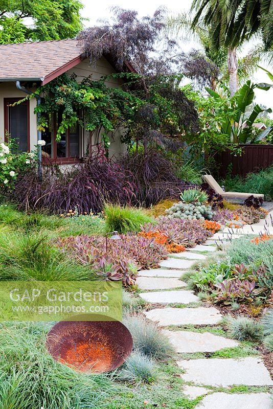 View of garden path leading to summer house flanked by mixed beds containing succulents and ornamental grasses. Debora Carl's garden, Encinitas, California, USA. August.