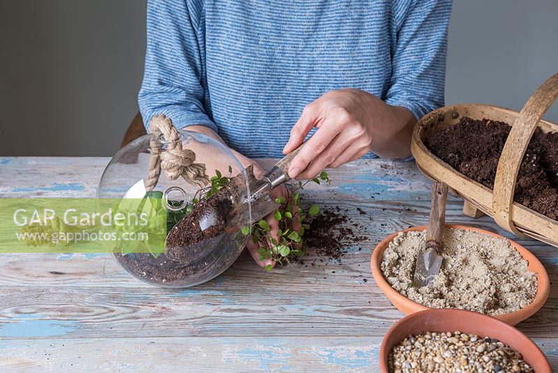 Add another layer of compost to the Terrarium