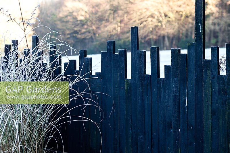 Wooden fence painted black. Veddw House Garden, Monmouthshire, Wales, UK. Garden designed and created by Anne Wareham and Charles Hawes