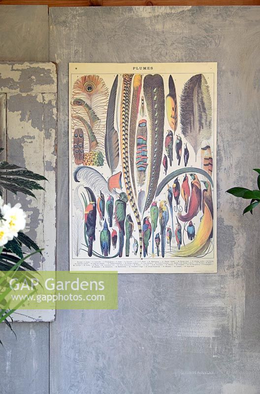Picture with drawings of feathers on the wall of the gardenhouse. Inspiration garden: Vintage.