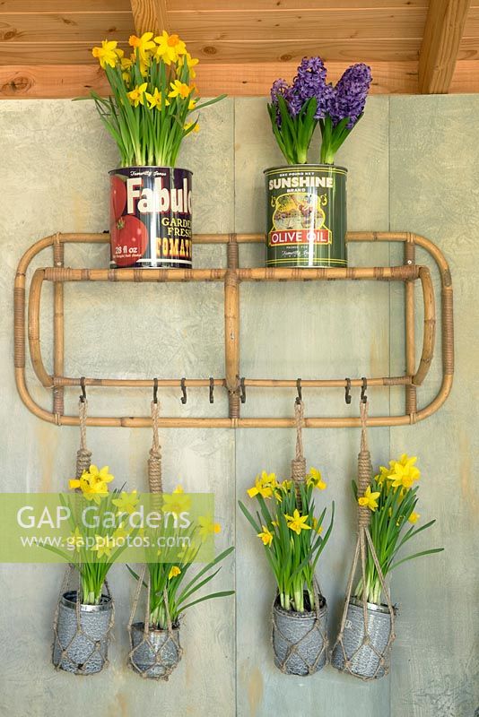 Interior fifties design in gardenhouse with Iron olive cans filled with Narcissus and hyacinthus flower. Inspiration garden: Vintage.