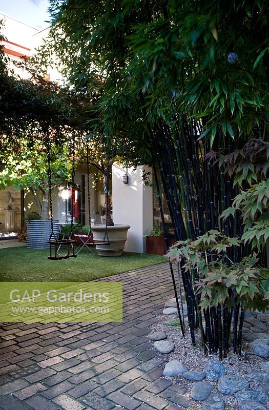 Courtyard garden with astroturf area, black brick flooring, climbing plants on an overhead steel girder and bare-stemmed black phyllostachys bamboo. 