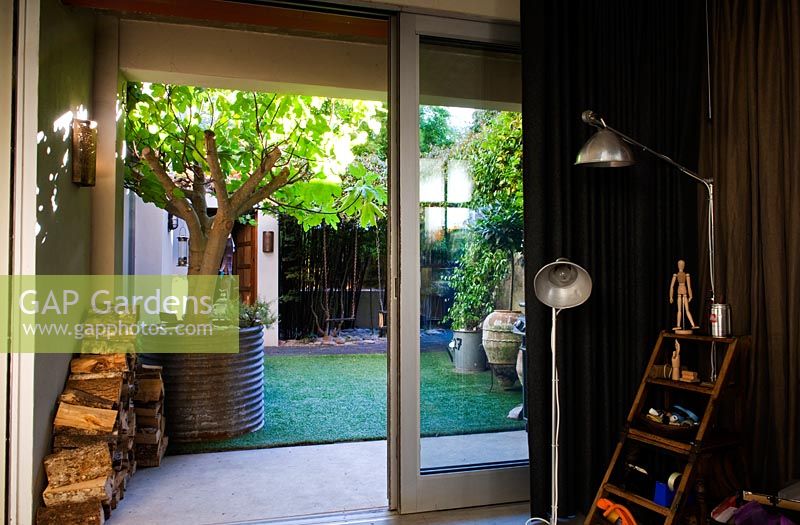 View from interior through open full-height open window to courtyard garden with stack of firewood, astroturf and a fig tree in a large recycled galvanised container. 