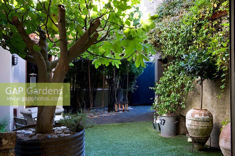 View from full width garden windows on to courtyard garden with a fig tree in a recycled galvanised container, astroturf, black bamboo, climbing trachelospermum on grey wall and two childrens' swings. 