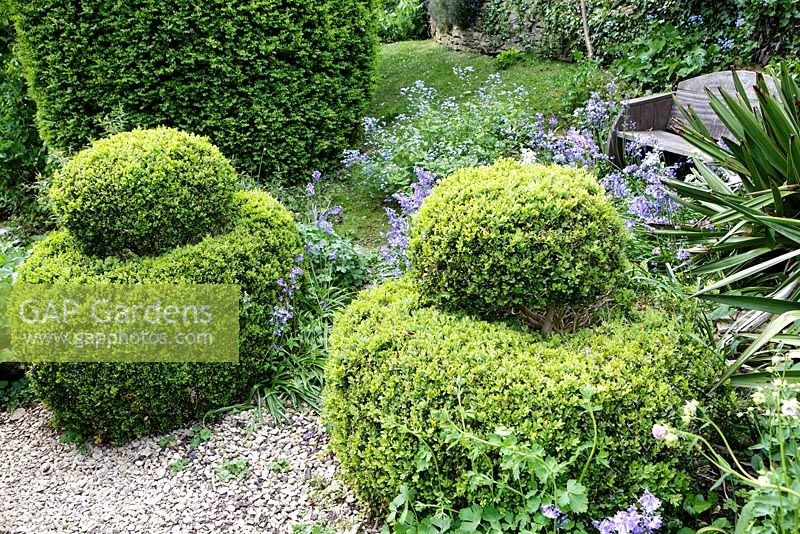 Mill Dene Garden, Blockley, Gloucestershire, Box topiary shaped hedging