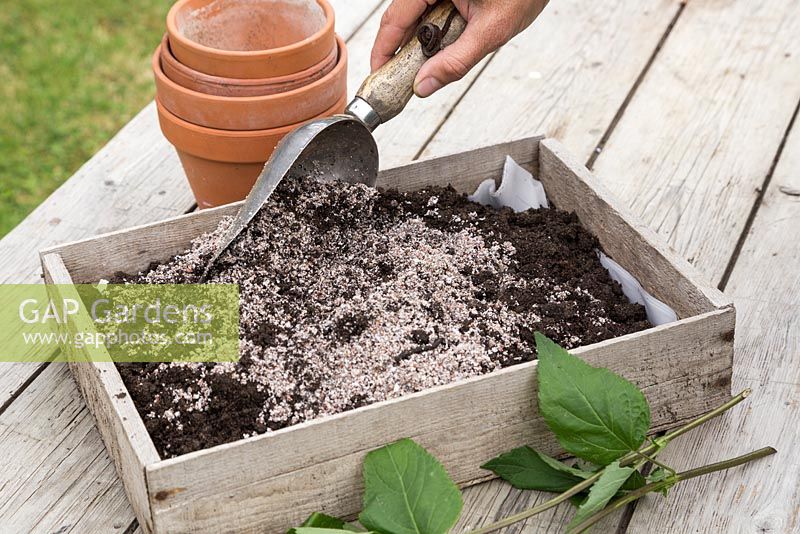 Creating a potting mixture of perlite and compost