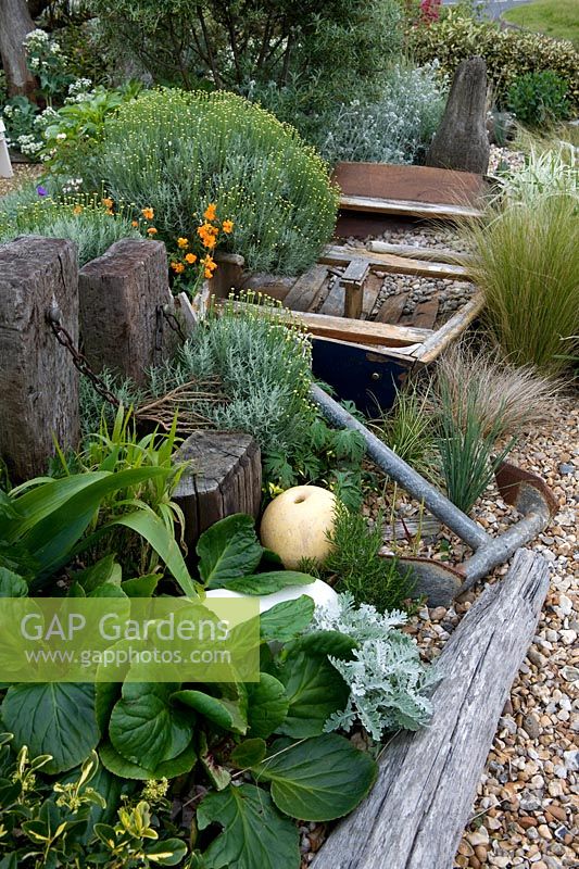 Seaside themed garden with rowing boat, anchor, buoy and driftwood. Santolina, bergenia, stipa, artemisia, Driftwood and Gravel