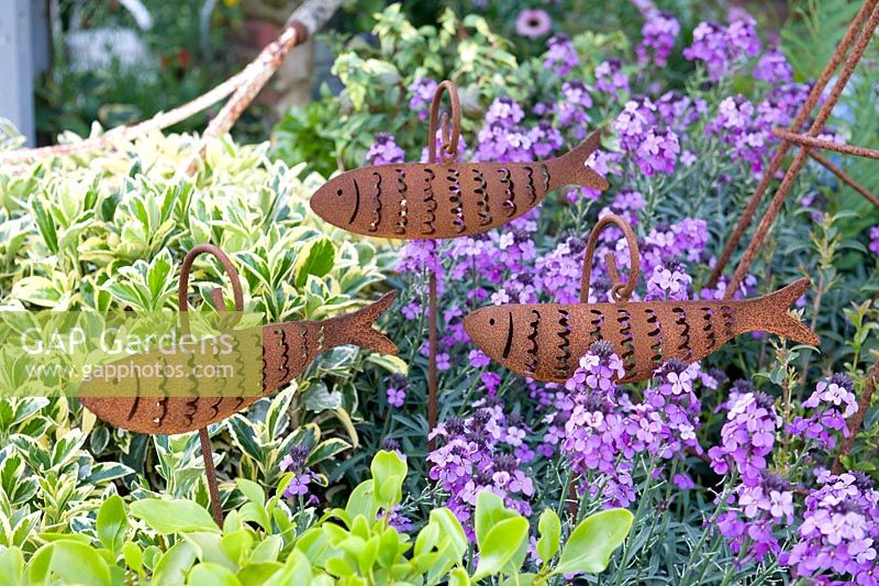 Rusted steel fish ornamental sculpture with planting of erysimium, euonymus and griselinia. 