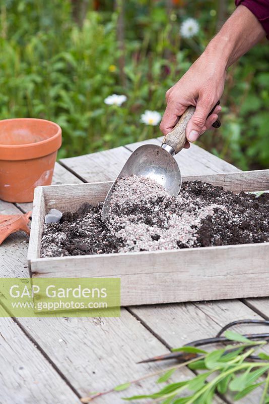 Mix together compost and perlite for planting the cuttings