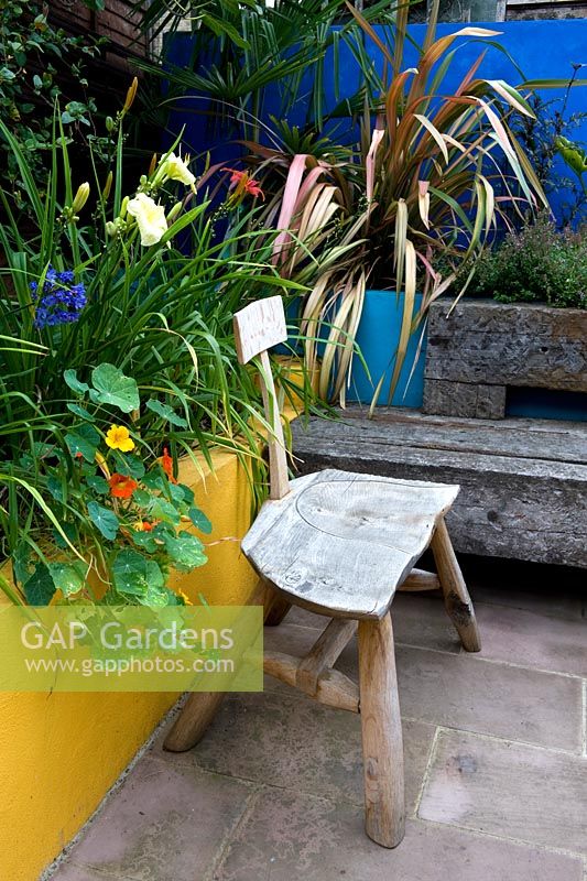 Seating area in enclosed garden room with reclaimed timber sleeper bench, wooden sculptural chair, raised bed with exotic planting and blue and yellow painted walls.  Nasturtium, phormium, hemerocallis and thyme.