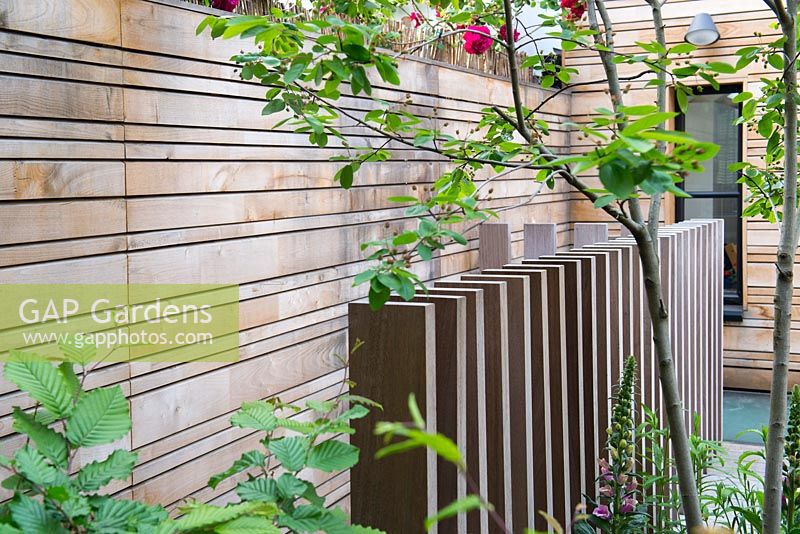 A balustrade made from iroko timbers in front of modern chestnut fence surrounded by Amelanchier tree and  Carpinus.