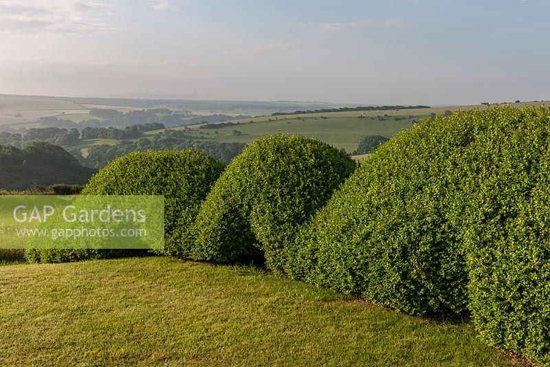 Sculptural windbreak hedge 