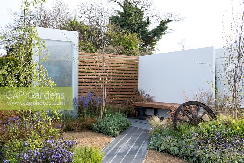 Composite decking by SAiGE lined with Brunnera macrophylla 'Jack Frost' and Nepeta 'Six Hills Giant', leading to a bench with white wall background, Camassia cusickki, Polemonium 'Heaven Scent' - The Low Line, RHS Malvern Spring Festival 2016