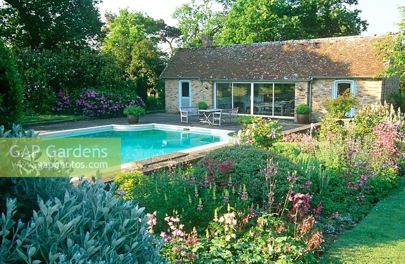Country garden in May with swimming pool and pool house framed by border planted with aquilegias, hardy geraniums, hebes and lupins