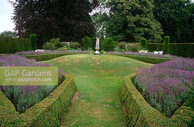 Box edged beds full of lavender surround the mount at the centre of the Sundial Garden at Cranborne Manor Garden, Dorset in summer