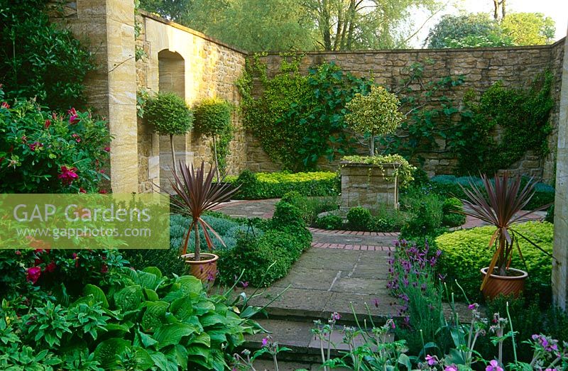 Walled garden with cool green planting including an edging of Hedera 'Ivalace', golden marjoram, santolina, clipped hollies and wall plants including Trachelospsermum asiaticum and Ficus carica 'Brown Turkey'