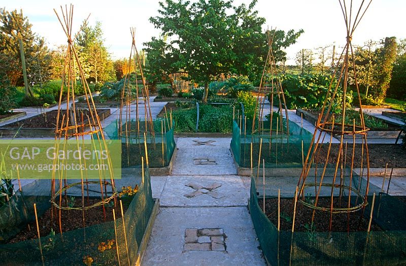 Formal vegetable garden in spring with concrete paths inset with brick detailing, raised beds, wigwams for climbing beans and a medlar tree in the centre.
