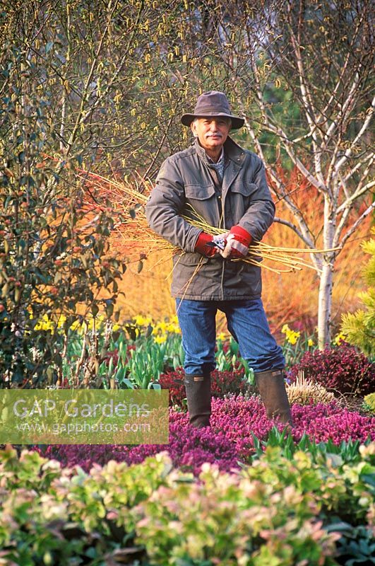 Portrait of Adrian Bloom in the Winter Garden at The Bressingham Gardens, Norfolk, UK, March 2007.