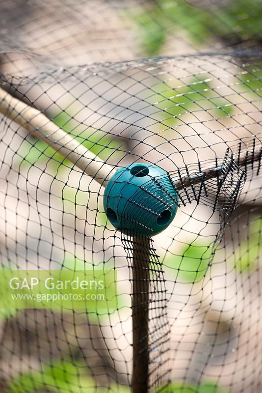 Detail of rubber ball system to create cane structure for supporting plastic netting