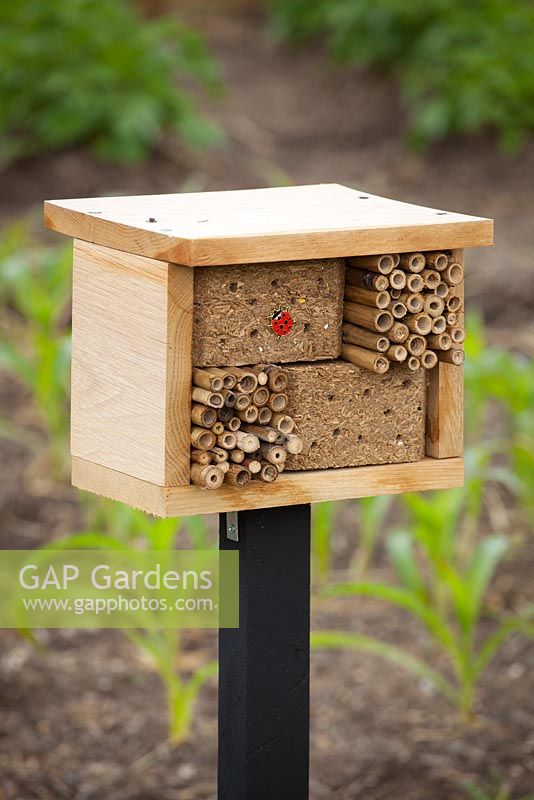 Bee and insect box placed in garden to encourage pollinators