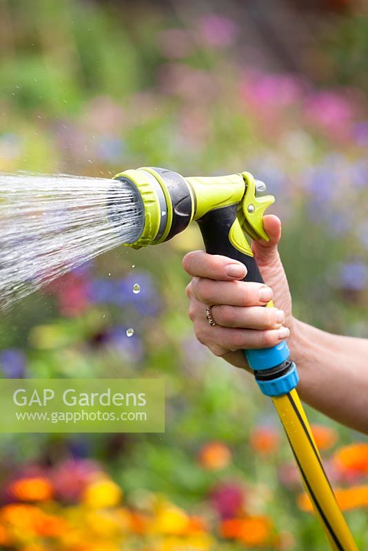 Watering with a spray hose