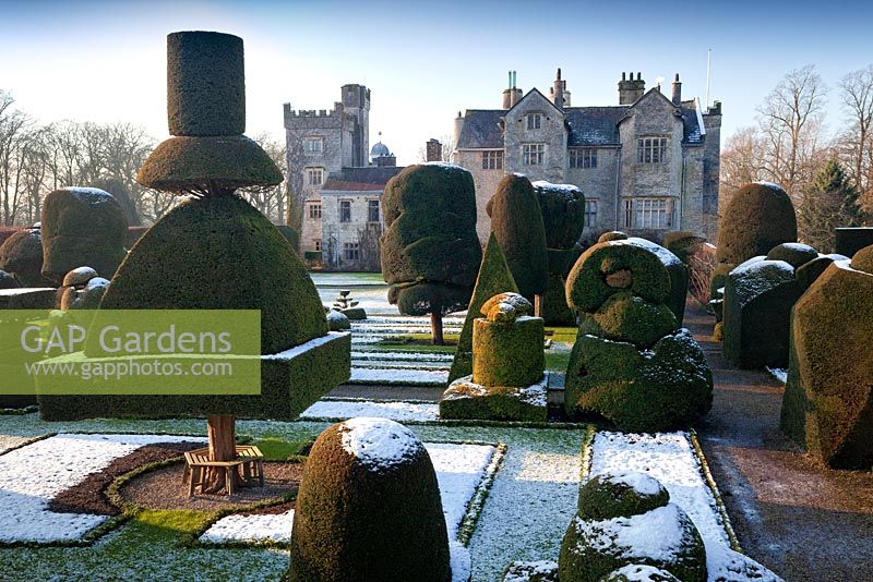 Topiary shapes with a dusting of snow at Levens Hall Topiary Garden, Cumbria, UK. 