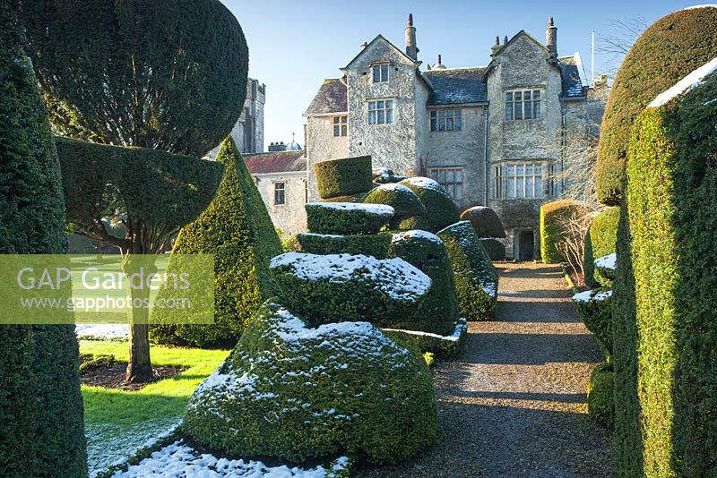 Topiary shapes in the Topiary garden at Levens Hall, Cumbria.