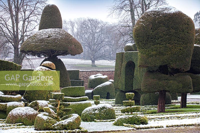 Topiary shapes and characters with a dusting of snow at Levens Hall and Garden, Cumbria, UK