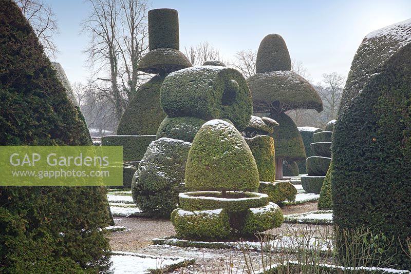 Topiary shapes and characters with a dusting of snow at Levens Hall, Cumbria. UK. 