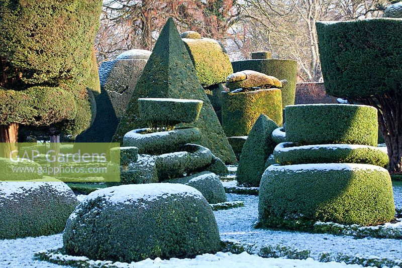 Topiary shapes with a dusting of snow at Levens Hall and Topiary Garden, Cumbria, UK