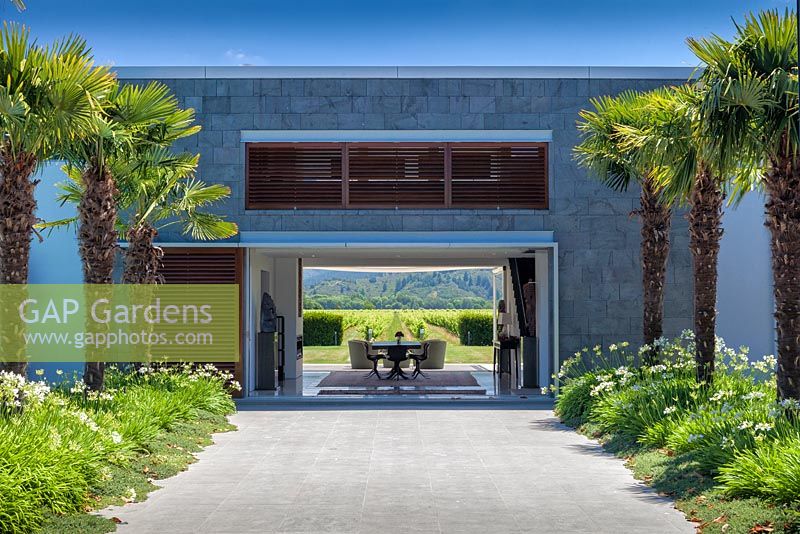 View along avenue of Trachycarpus wagernianus through the modern house to the vineyards beyond at Bhudevi Estate garden, Marlborough, New Zealand.