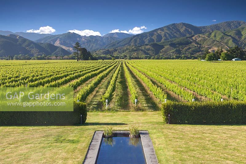 Reflective pool with view of vineyard and mountain range beyond at Bhudevi Estate garden, Marlborough, New Zealand.