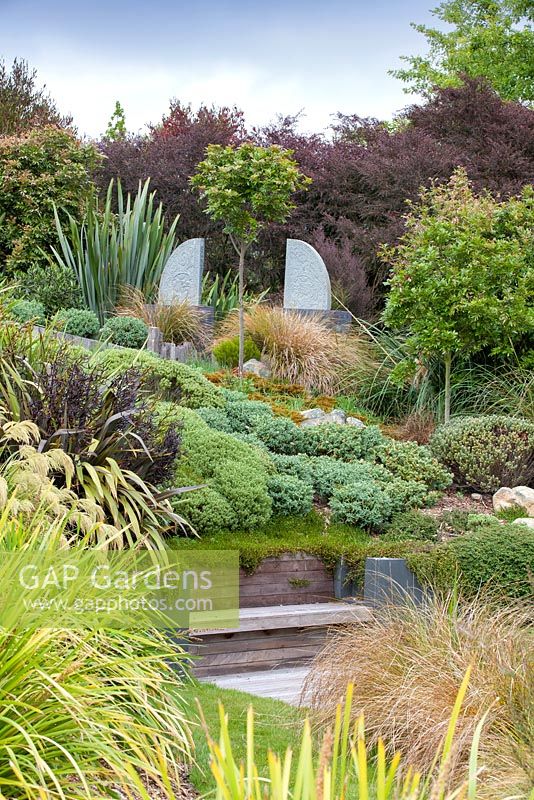 A selecton of native Hebes with antique statues at Bhudevi Estate garden, Marlborough, New Zealand.