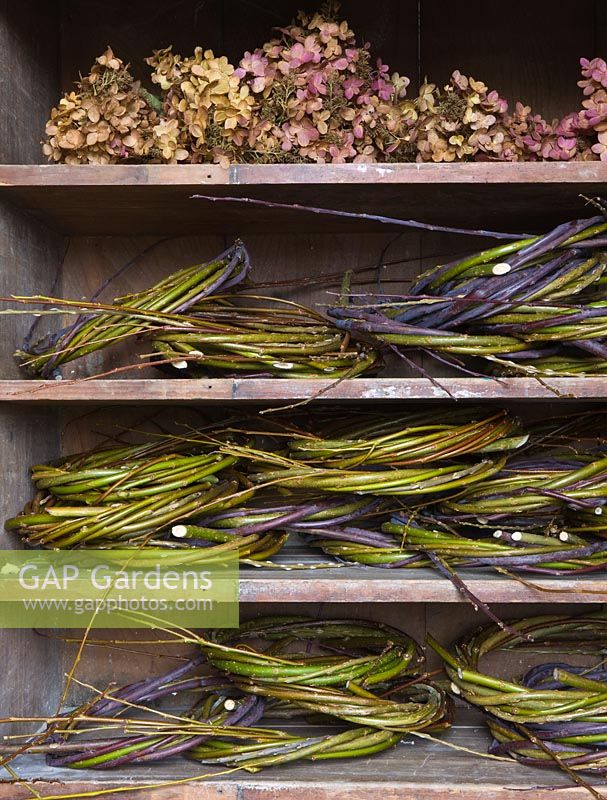An old dresser houses stacks of willow wreaths awaiting decoration, together with heaps of dried hydrangea heads, all British grown.  Common Flower Farm, Somerset